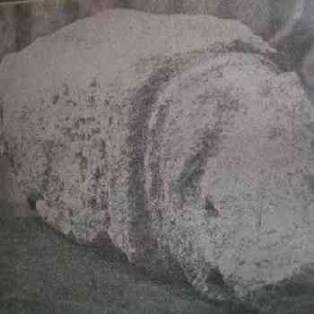 Click para ampliar. Pulsa en el nombre para ver la ficha. Verraco Viana do Bolo (Ourense)